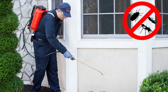 Pınarhisar Dezenfeksiyon böcek ilaçlama ve haşere kontrolü — ilaclama-tr.com